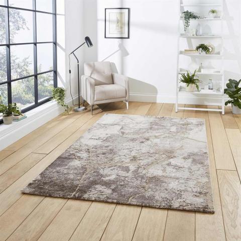 Abstract Beige Silver Rug Florence 50032 