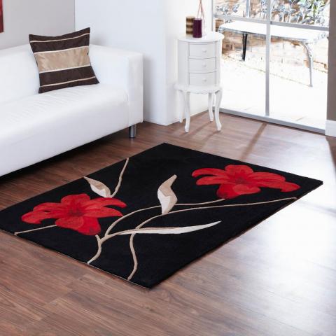 Aspire Lawrence Rugs in Black Red