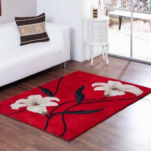 Aspire Lawrence Rugs in Red