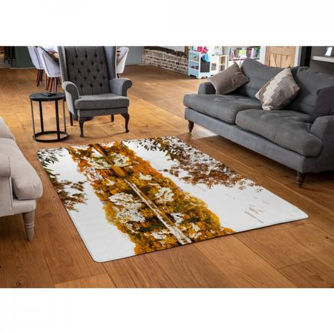 Autumn Lake Designer Rug - Orange / 110cm