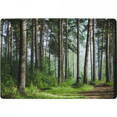 Beautiful Summer Forest With Different Trees Designer Rug - Green / 200cm