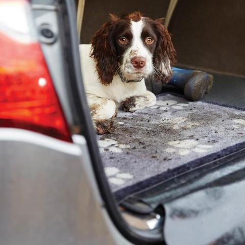 Big Paw Car Boot Mats 1 by Howler & Scratch