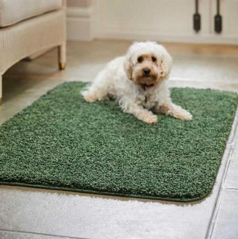 Buddy Washable Plain Rugs in Forest Green