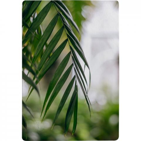 Closeup Of Green Palm Leaf Designer Rug - Green / 150cm