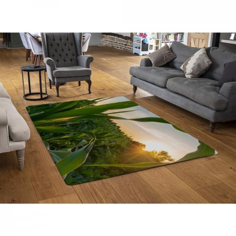 Corn And Sun Close Up Designer Rug - Green / 110cm