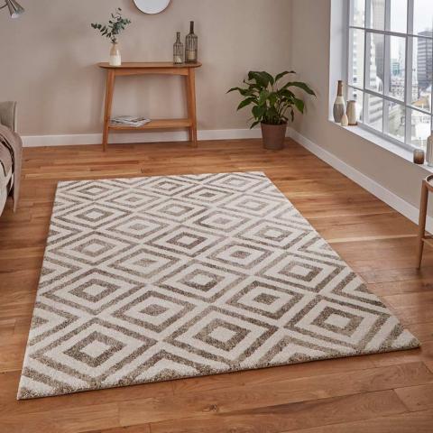 Elegant 4893 Beige Geometric Rug 