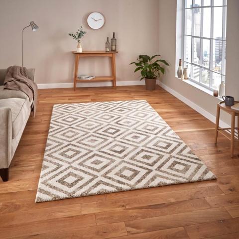 Elegant Rugs 4893 in Beige and White