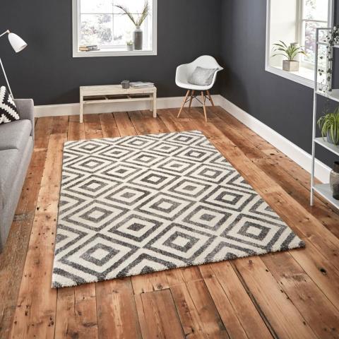 Elegant Rugs 4893 in Grey and White