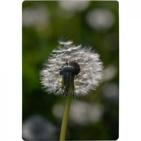 Fluffy Flower Designer Rug - Green / 150cm