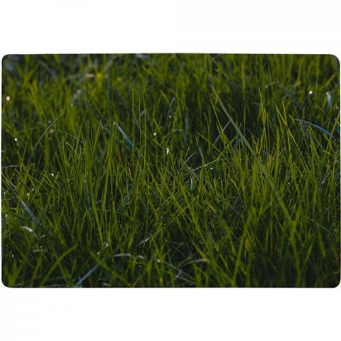 Fresh Green Grass Background, Natural Grass Designer Rug - Green / 150cm