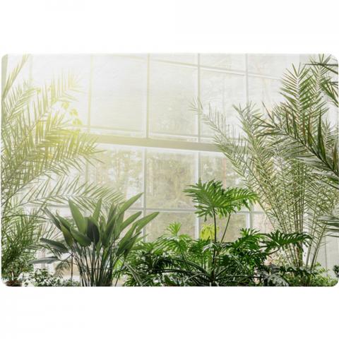 Green Plants In Botanical Gardens Designer Rug - Green / 150cm