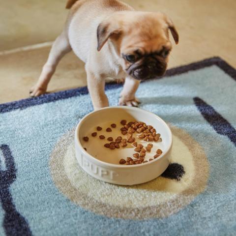 Howler & Scratch Dinner Mats 2 in Blue