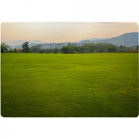 Image Of Lush Grass Field Designer Rug - Green / 150cm