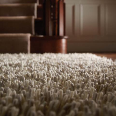 Imperial Shaggy Wool Rugs in Light Mix