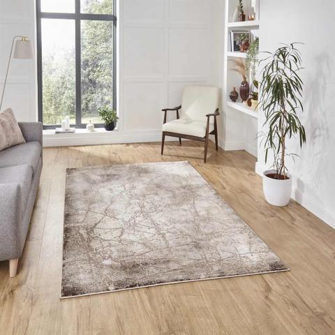 Modern Beige Rug Florence 50035 