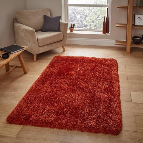 Montana Terra Shaggy Rug 