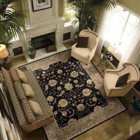 Nourison 2000 Rugs 2214 BLK in Black