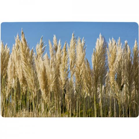 Pampus Grass Designer Rug - Yellow / 200cm