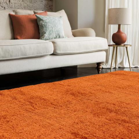 Payton Shaggy Soft Shimmer Rugs in Orange