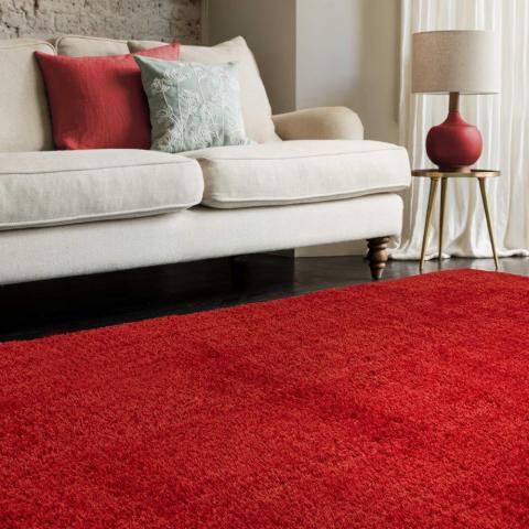 Payton Shaggy Soft Shimmer Rugs in Red