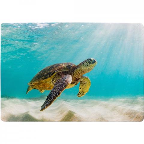 Photo Of Sea Turtle In The Galapagos Island Designer Rug - Blue / 200cm