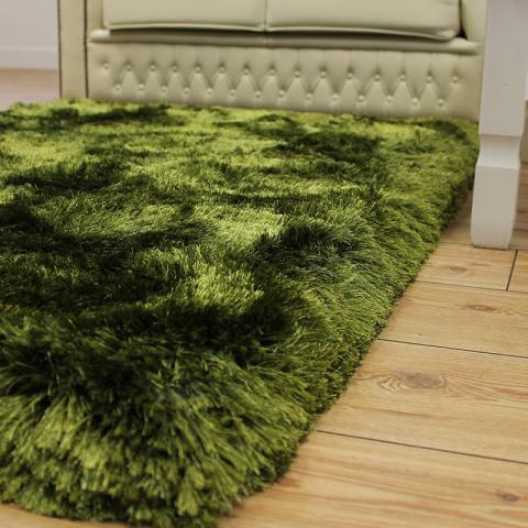 Plush Rugs Green Ultra Thick 