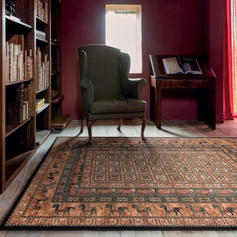 Royal Kashqai Traditional Bordered Rugs 4301 500