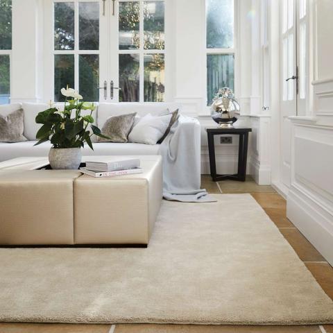 Rug Guru Hush Mink Plain Rug 