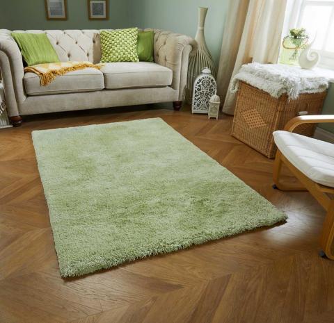 Softness Shaggy Rugs in Green