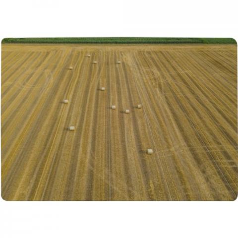 Straw Bales Of Wheat Lying On Harvested Field Designer Rug - Yellow / 200cm