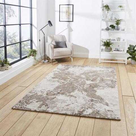 Stylish Beige Silver Rug Florence 50033 