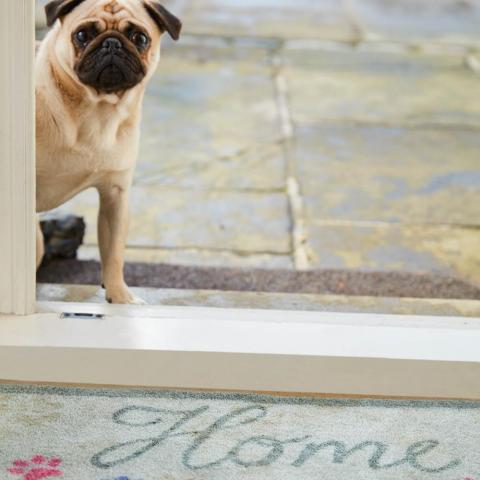 Sweet Home Pet Mats 1 by Howler & Scratch