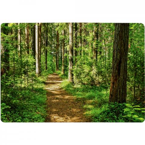 Woodland Path Designer Rug - Green / 150cm