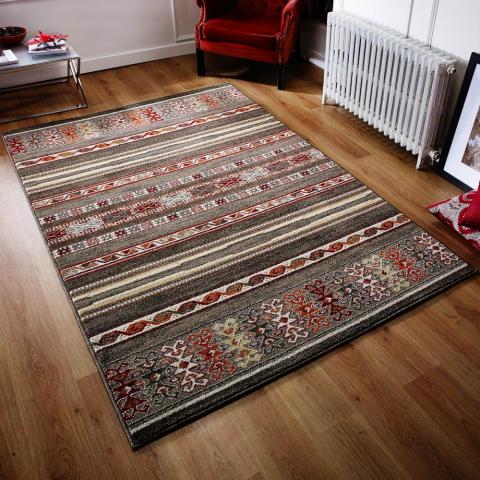 Zante Rugs 5501D in Brown